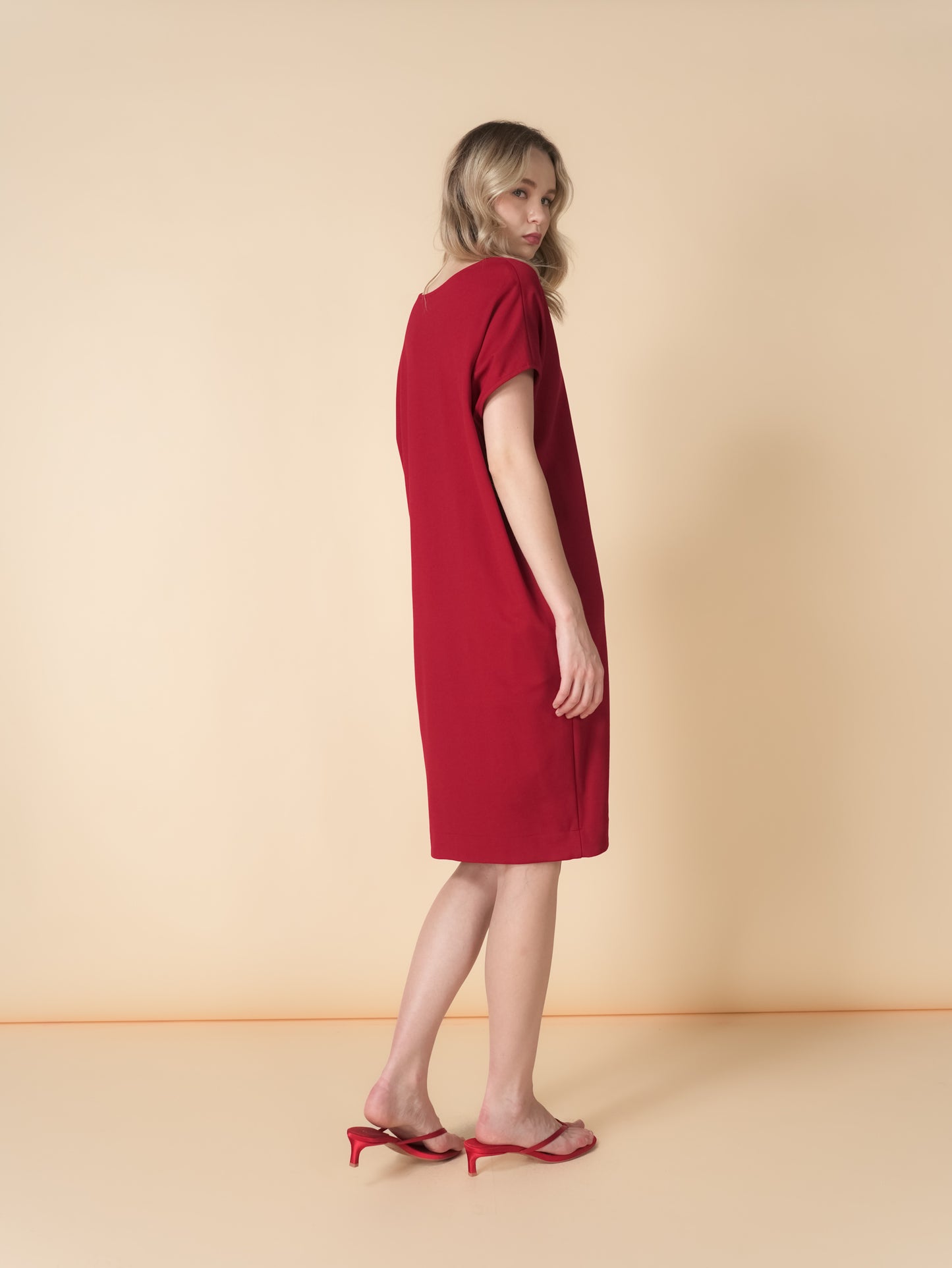 Diane Loose Dress