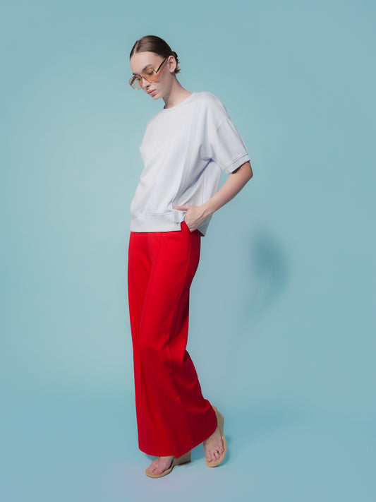 Greta Pleated Sleeves Top