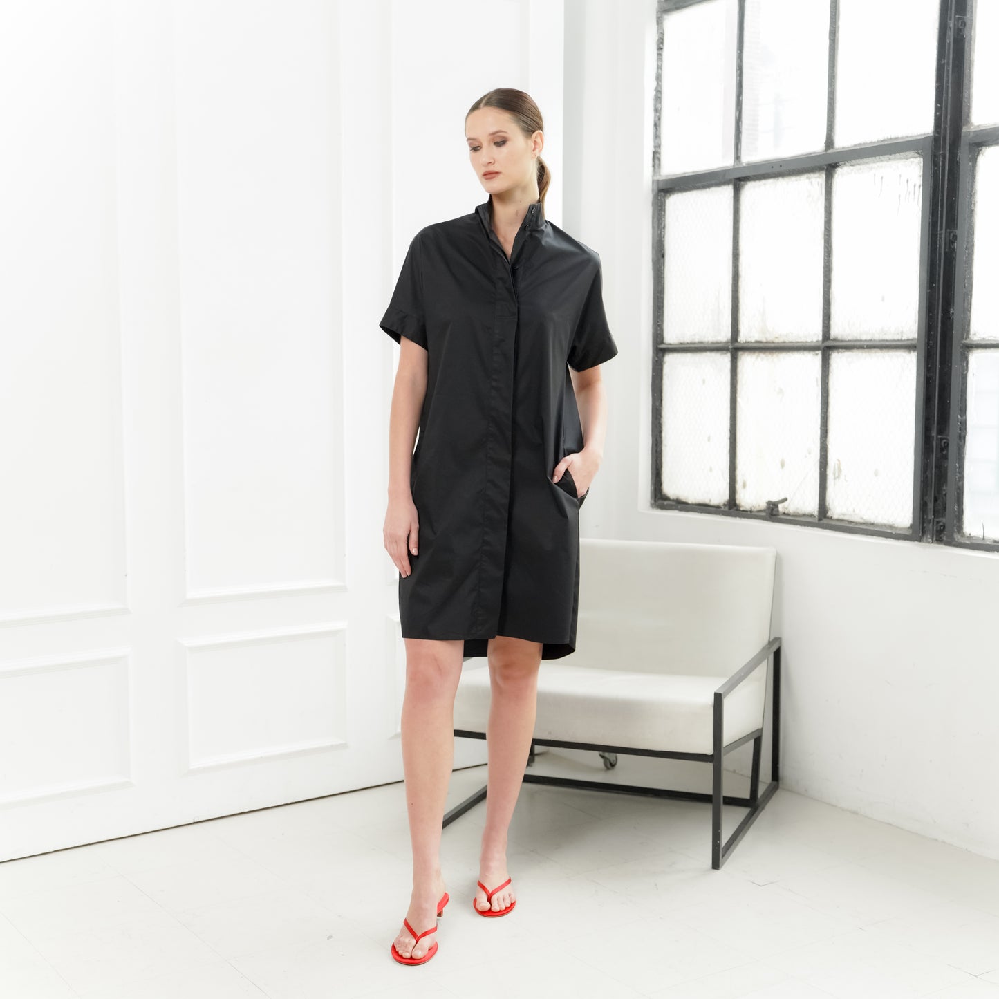 Zara Chinese Collar Dress