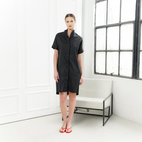 Zara Chinese Collar Dress