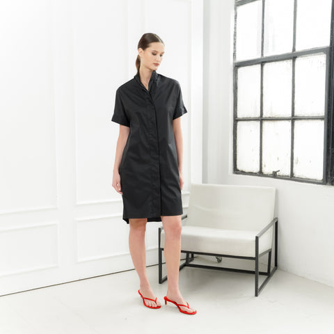 Zara Chinese Collar Dress