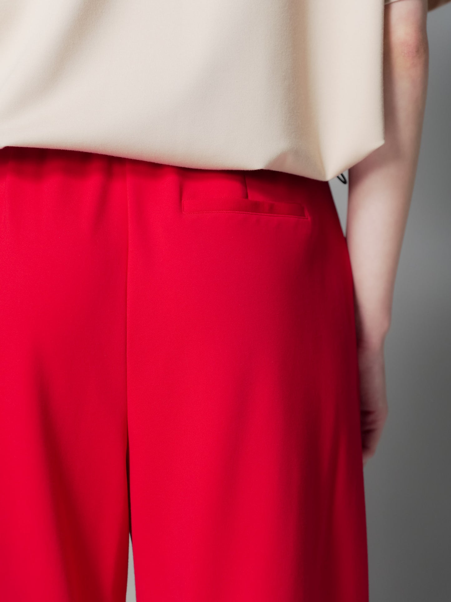 Enrico Pleated Wide Pants