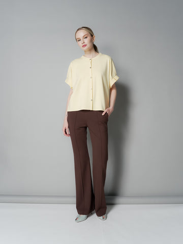 Ness Pleated Sleeves Top