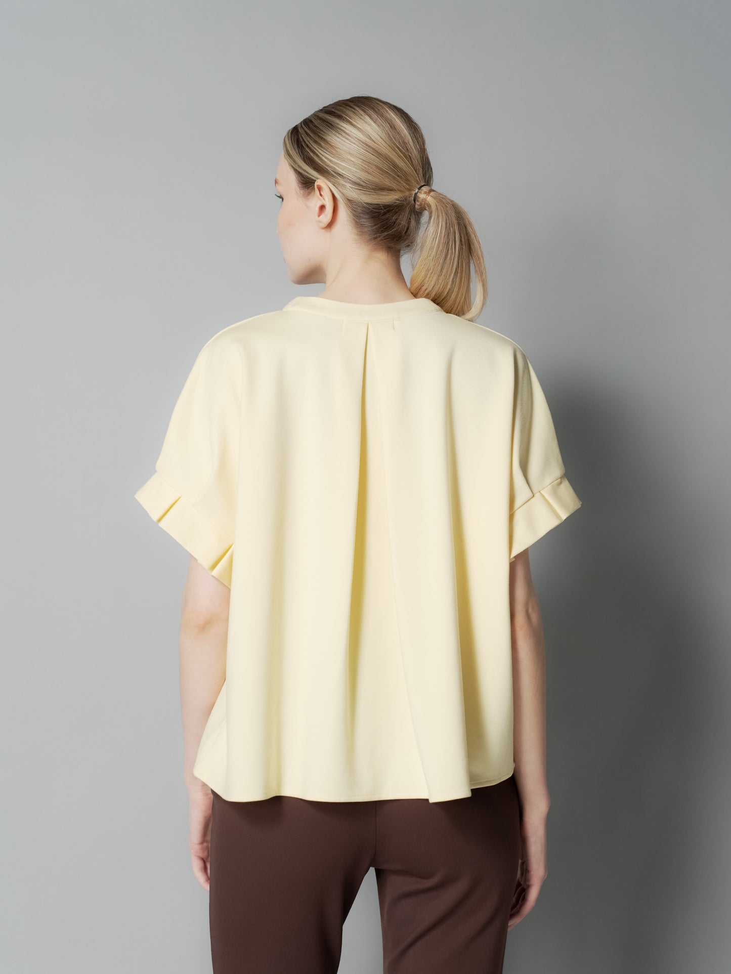 Ness Pleated Sleeves Top