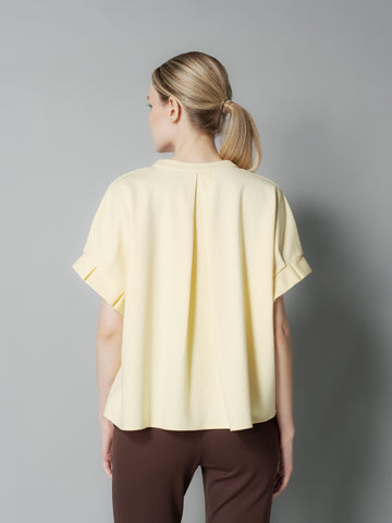 Ness Pleated Sleeves Top