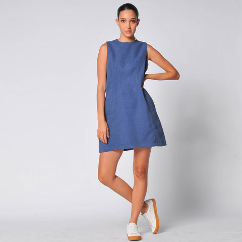 Delia Sleevless Mini Dress