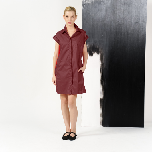 Mau Extended Sleeve Dress